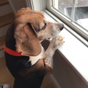 Meet your Posher, Kristin